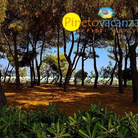 Myconos C2 - Pineto Vacanza מראה חיצוני תמונה