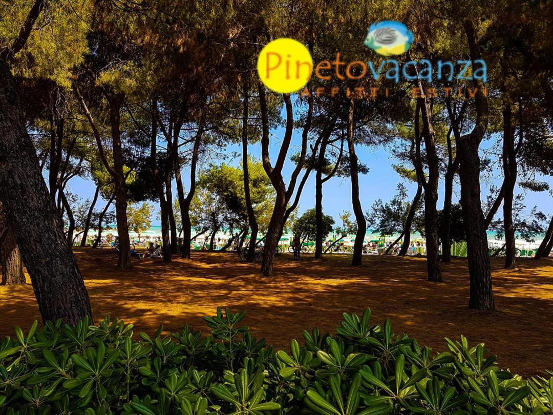 Myconos C2 - Pineto Vacanza מראה חיצוני תמונה